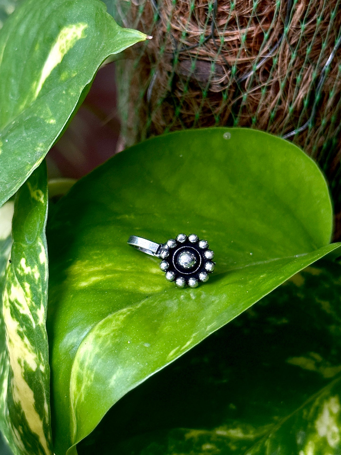 Silver Nose Pin | clip on for Nose - Bloom - By Sushmita