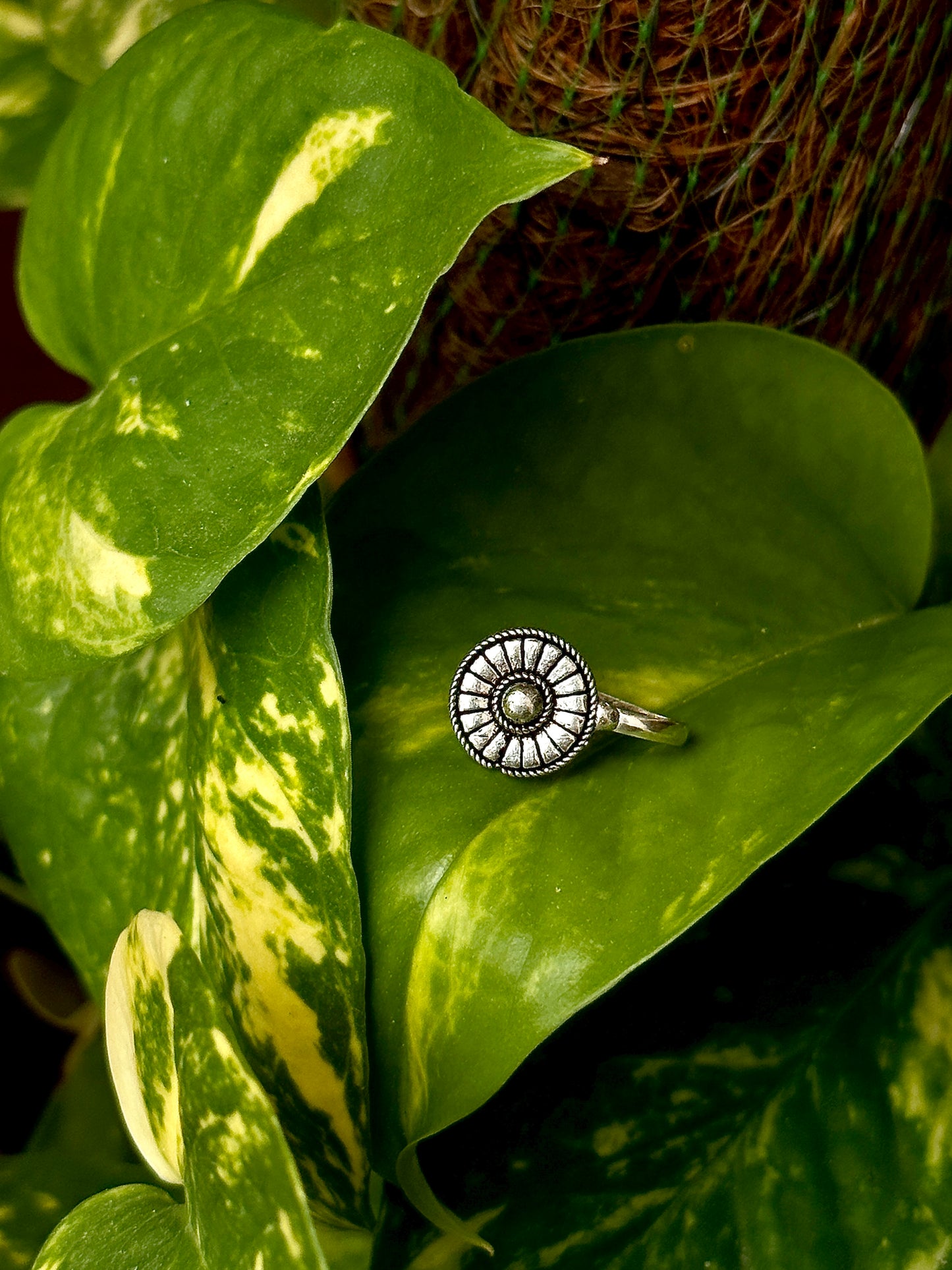 Silver Nose Pin | clip on for Nose - Bloom - By Sushmita