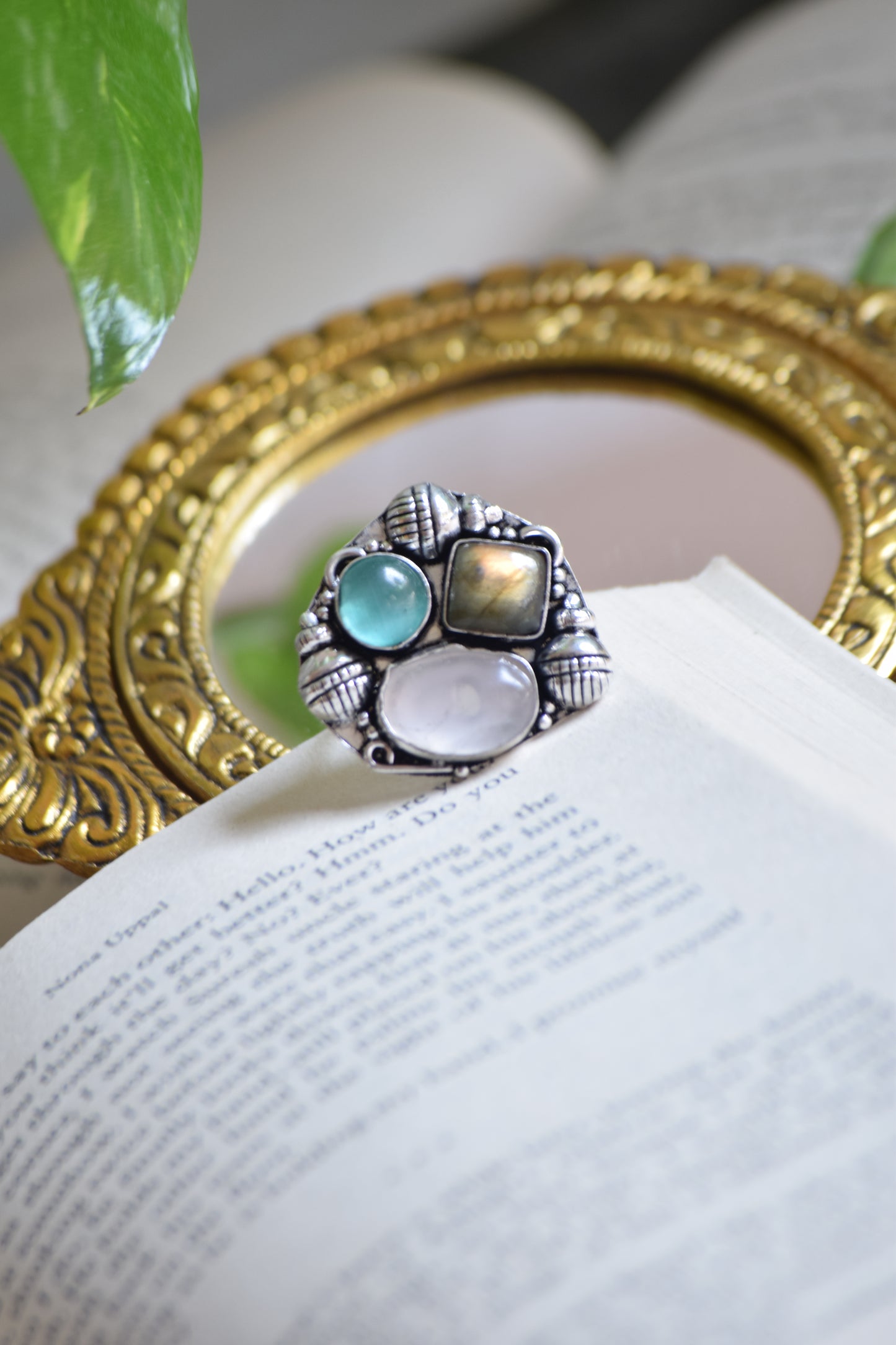 Fusion Ring