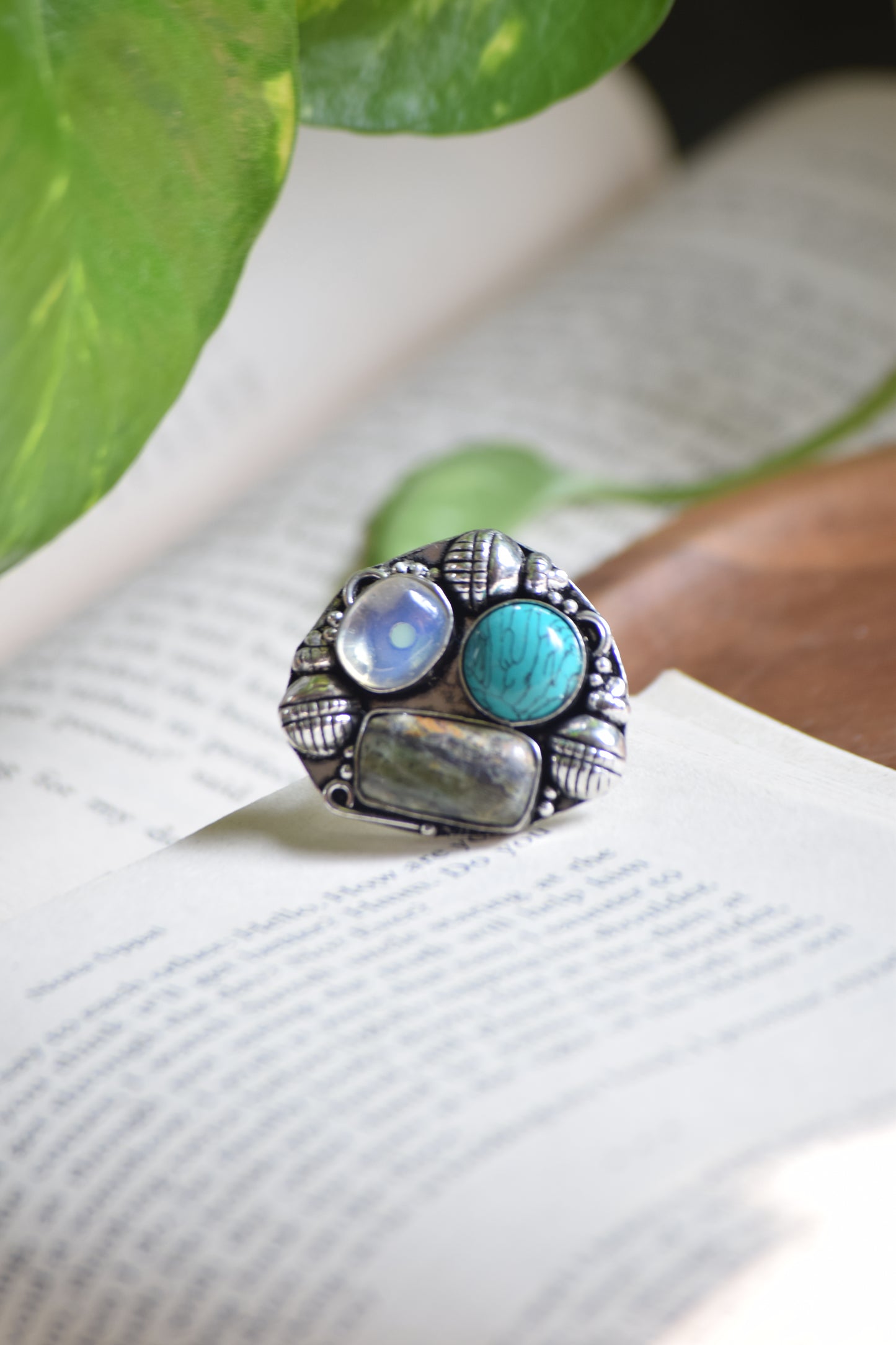 Fusion Ring