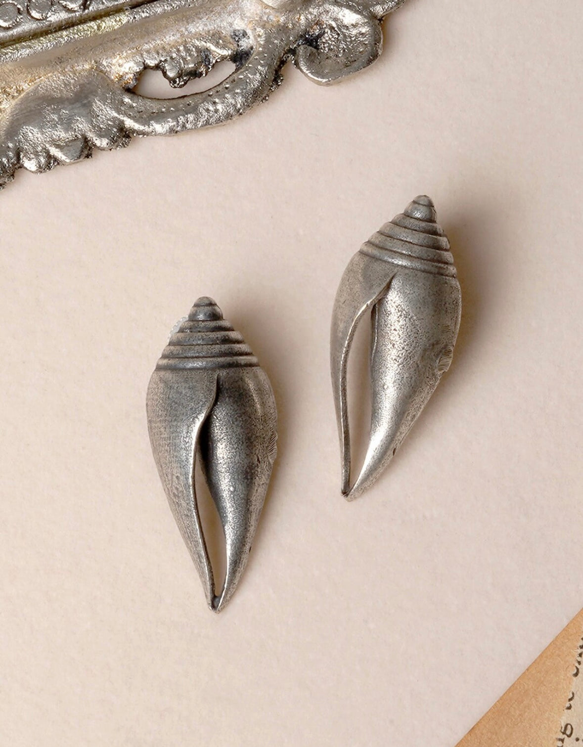 Silver Shell - Bloom - By Sushmita